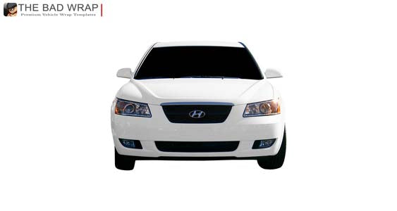 2008 Hyundai Sonata GLS 294