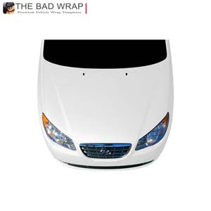 2008 Hyundai Elantra GLS PZEV 297
